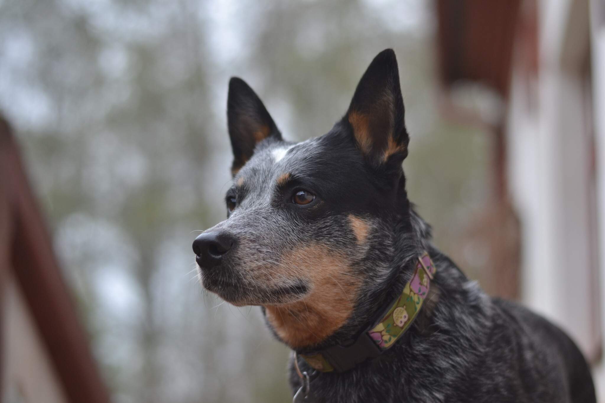 DSC_0083