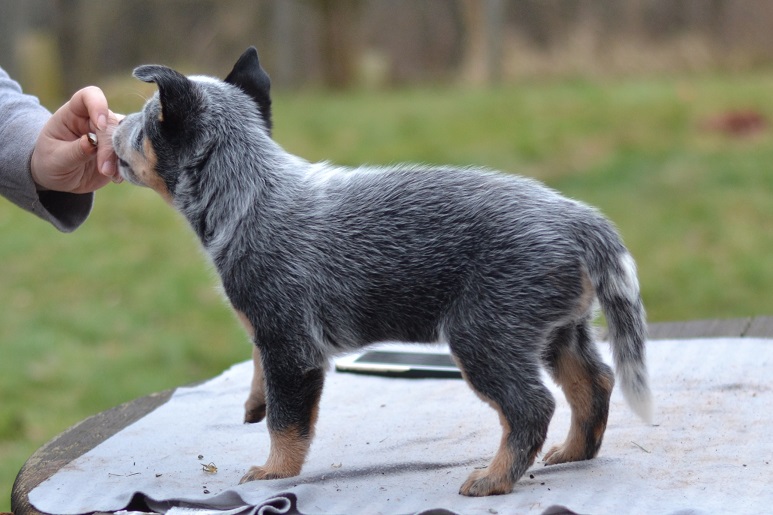 DSC_0495kopie