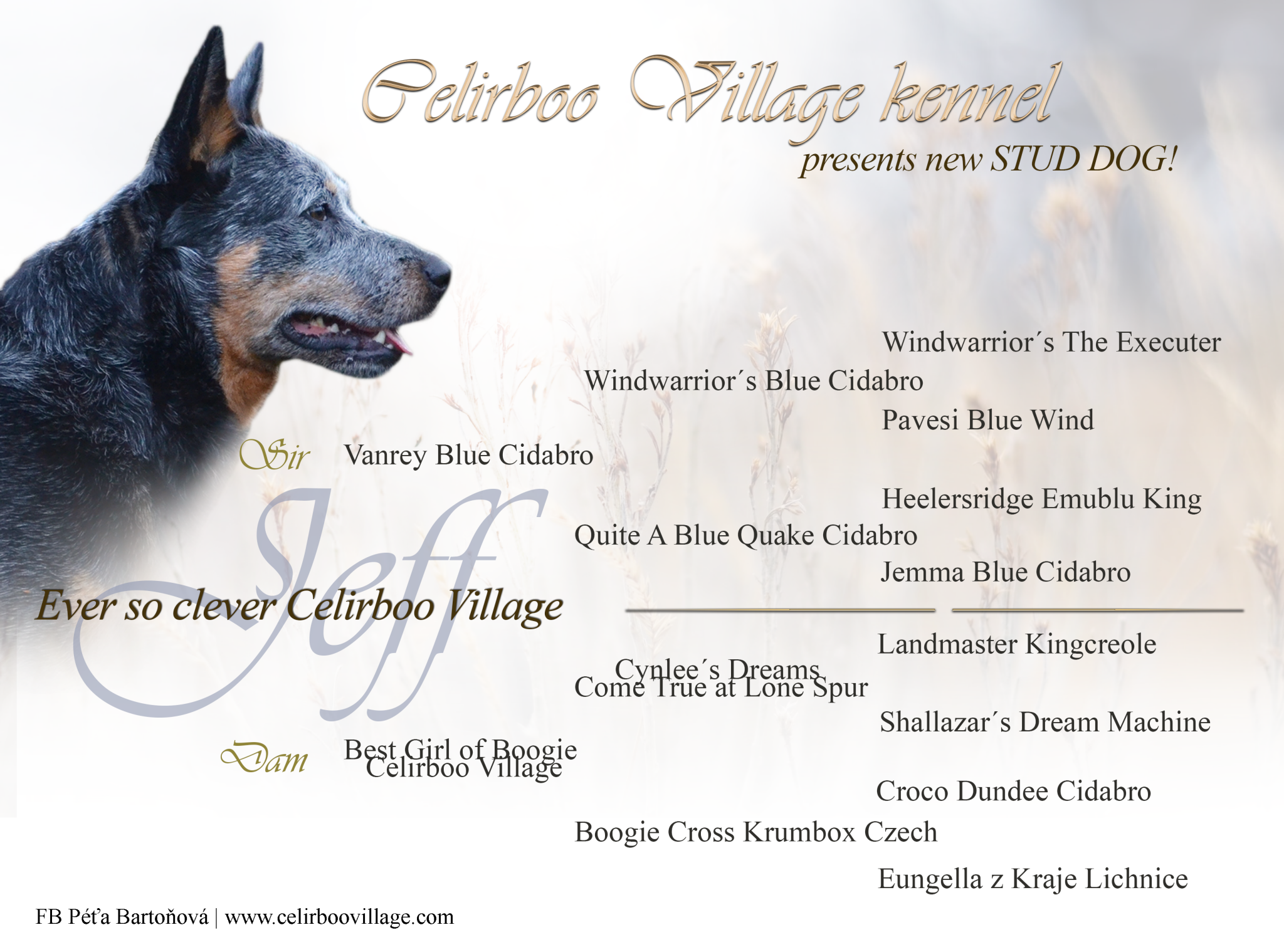 EVER pedigree