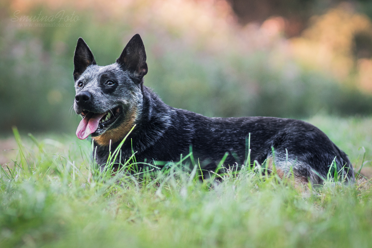 _MG_0057-2