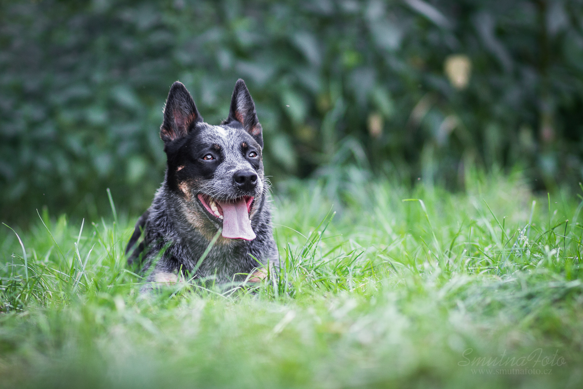 _MG_0062-2