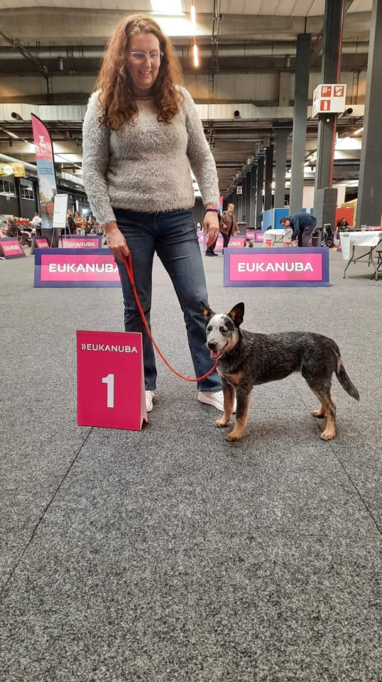 usha prvni vystava